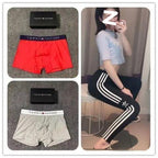 TOMMY Underwear (1)