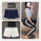 TOMMY Underwear (1)