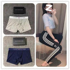 TOMMY Underwear (1)