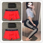 TOMMY Underwear (1)
