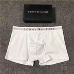 TOMMY Underwear (1)