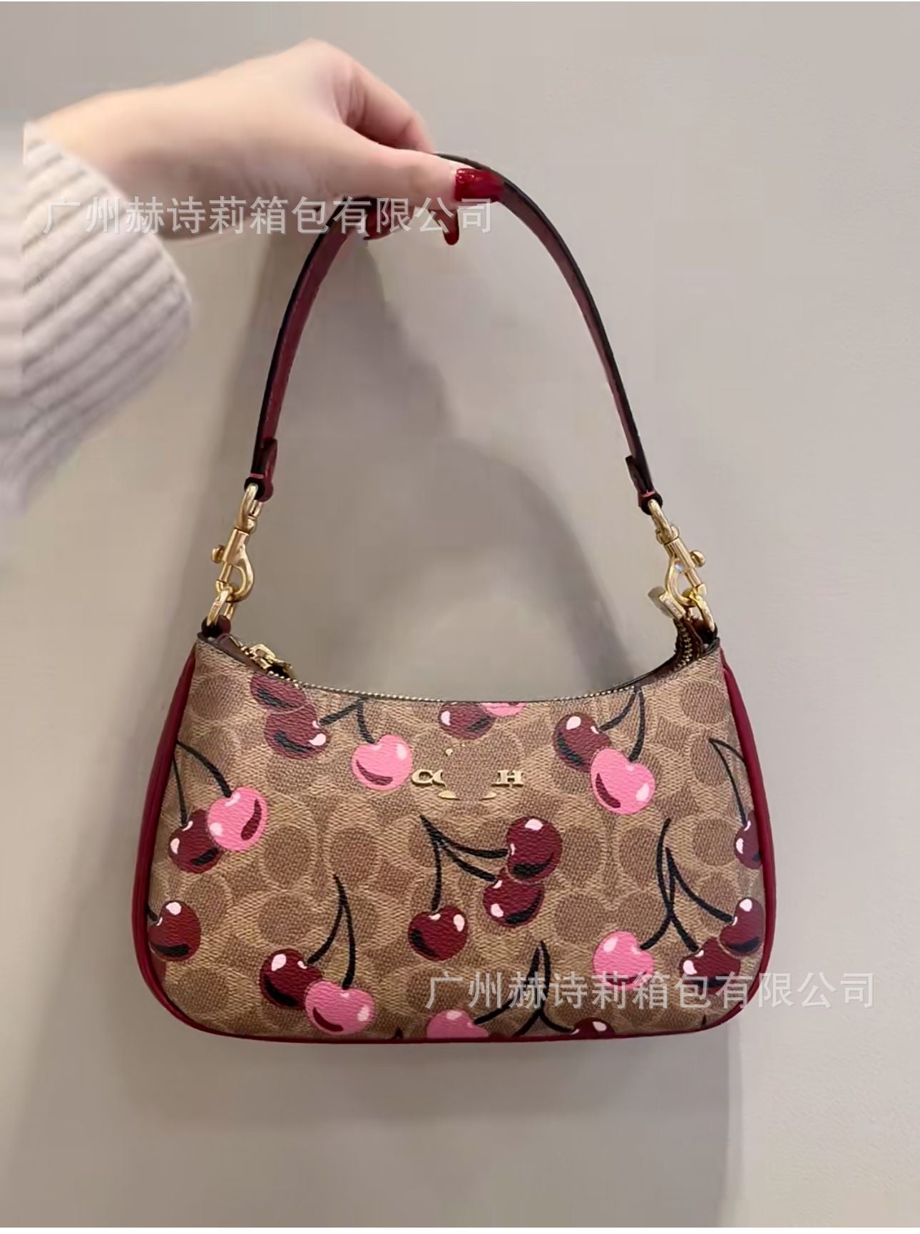 COACHES Handbags