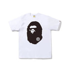 BAP Clothing Miami Set