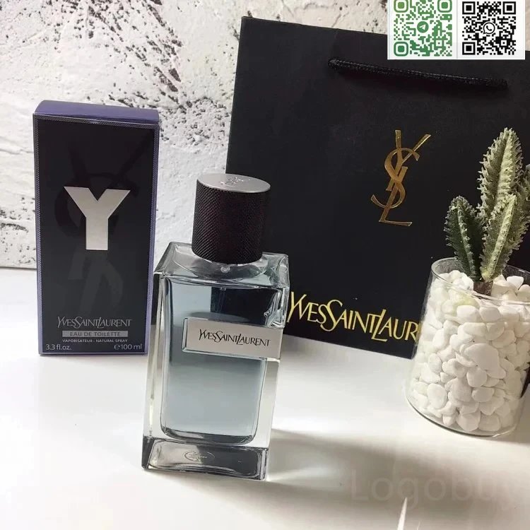 Yves Saint Laurent perfume bottle with packaging and a cactus plant on a textured surface.