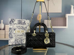 DIO Handbags (1)