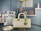 DIO Handbags (1)