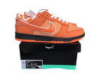 NIK Shoes (8)